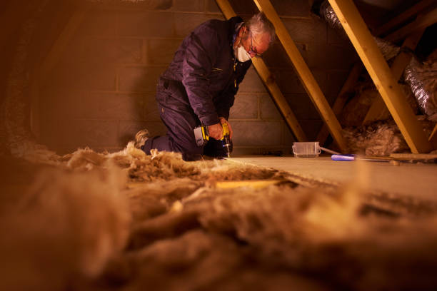 Best Insulation for New Construction  in River Hills, WI